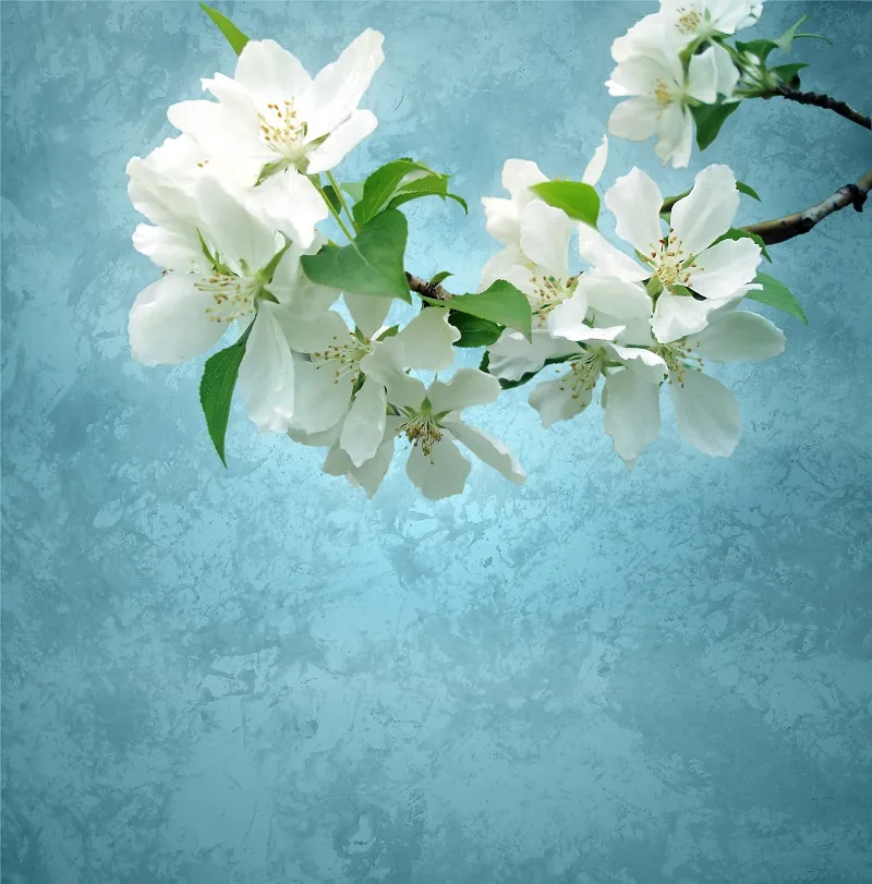 Flowers 250