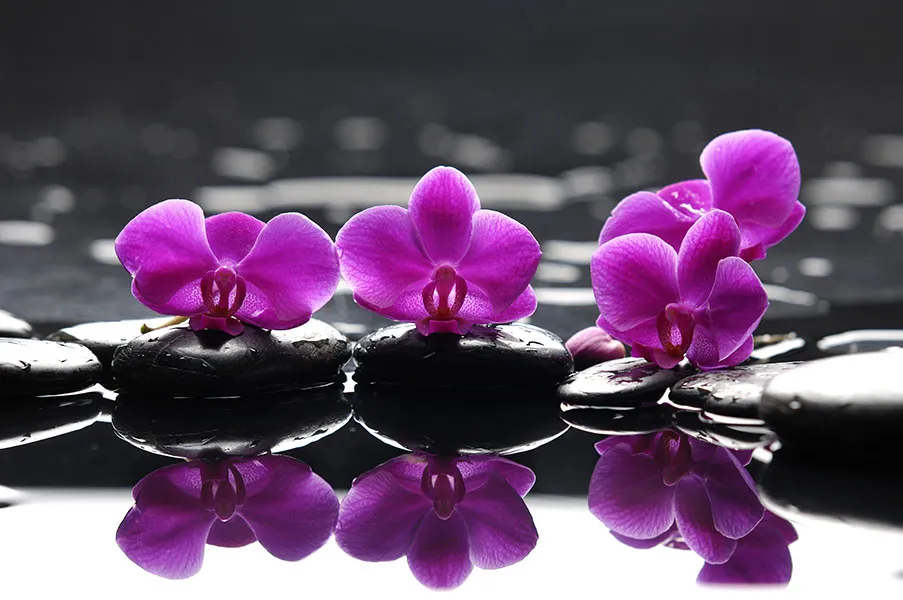 Flowers 436