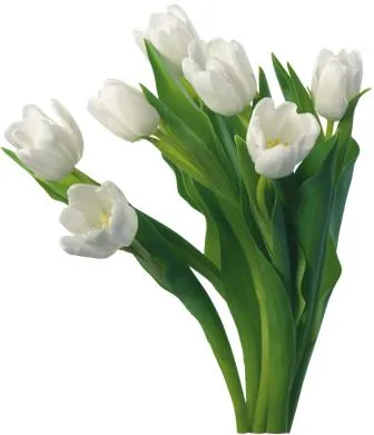Flowers 174