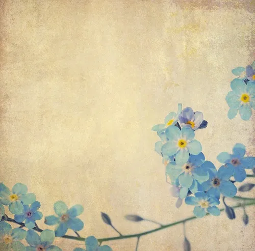 Flowers 259