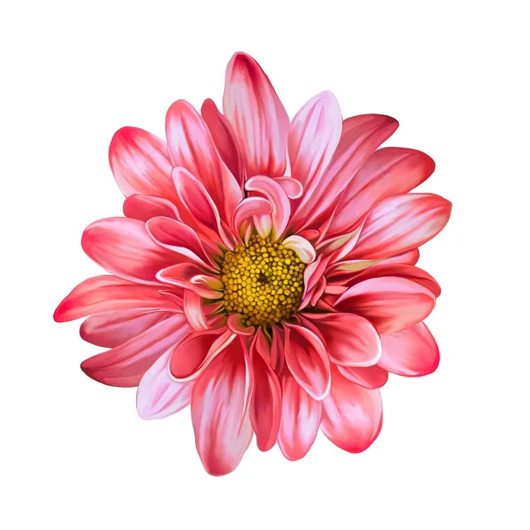 Flowers 125