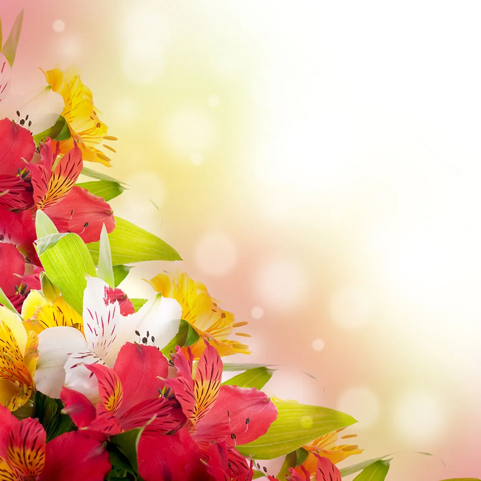 Flowers 520