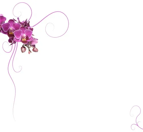 Flowers 040