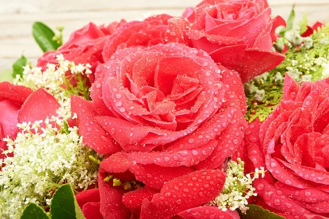 Flowers 316