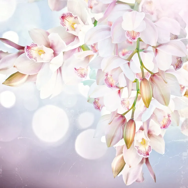 Flowers 145