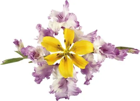 Flowers 158
