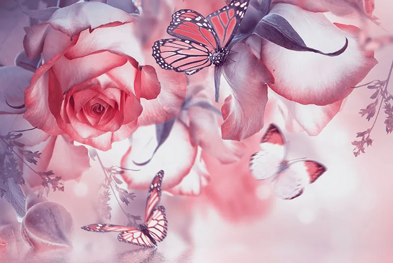 Flowers 377