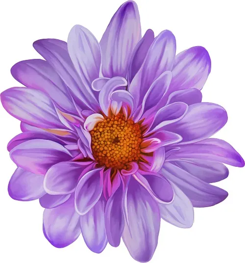 Flowers 267