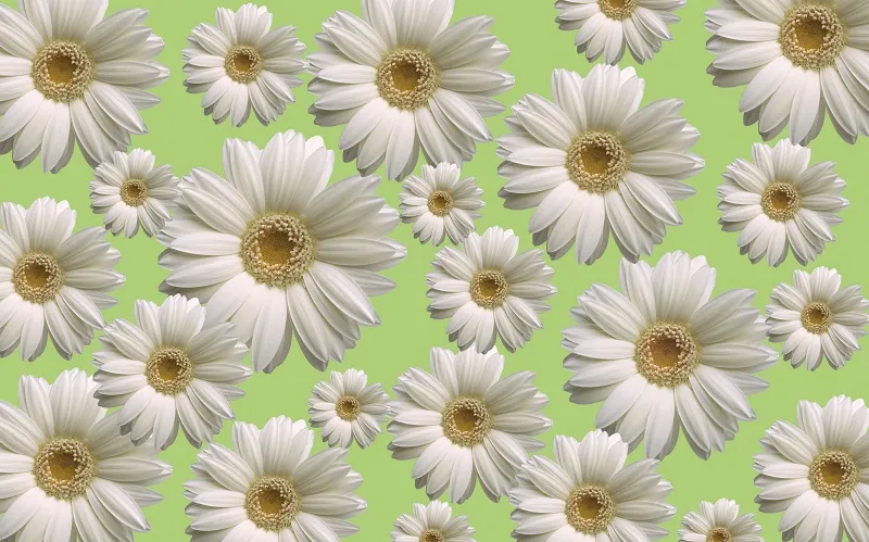 Flowers 198