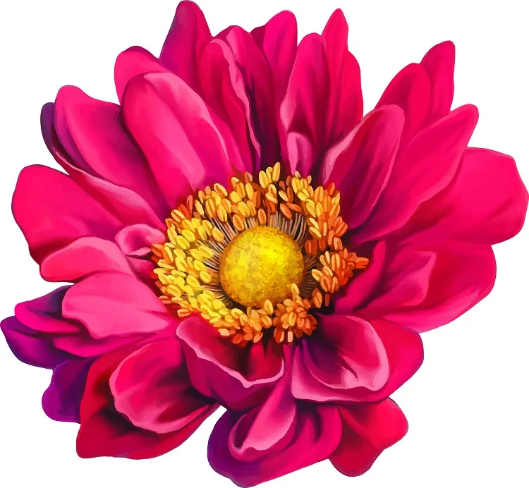 Flowers 132