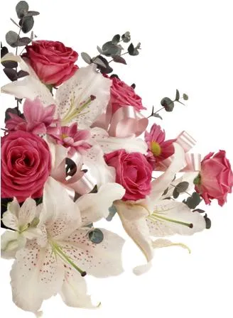 Flowers 162