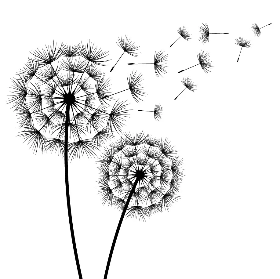 Flowers 528