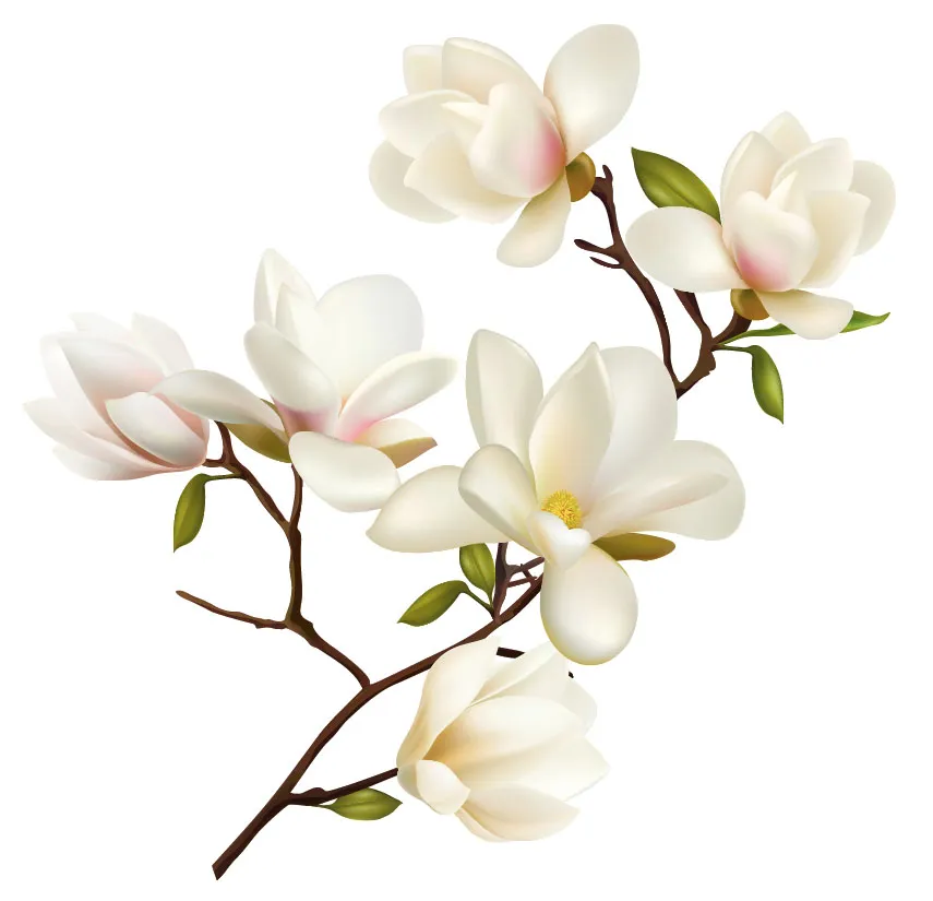 Flowers 504