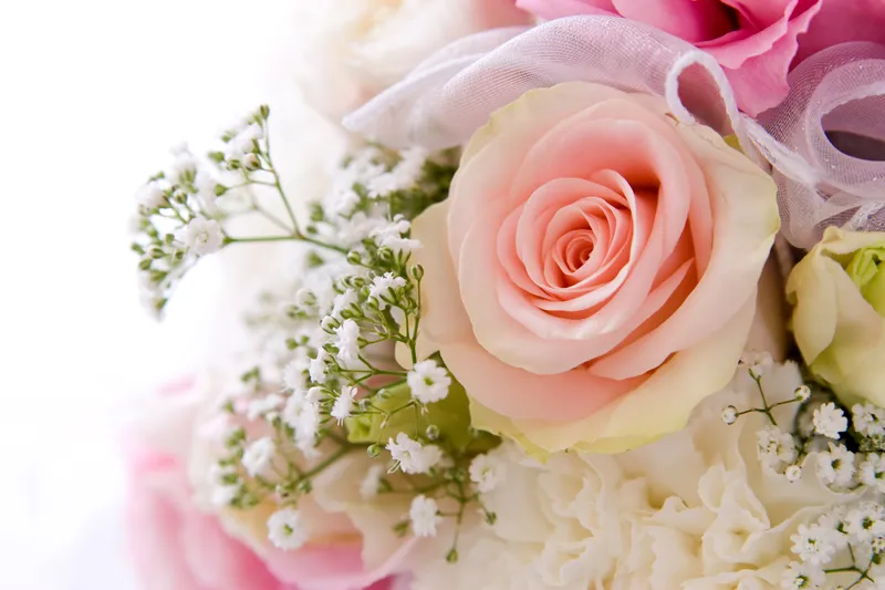 Flowers 093