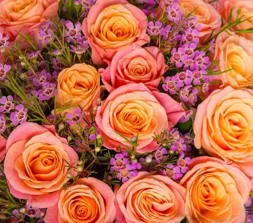 Flowers 083