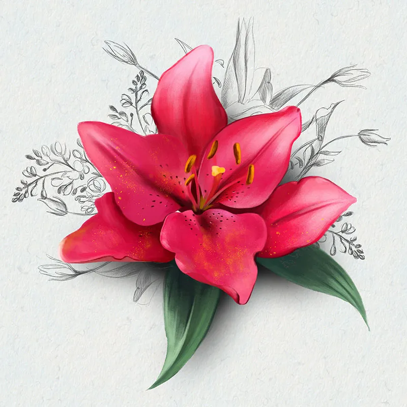Flowers 368