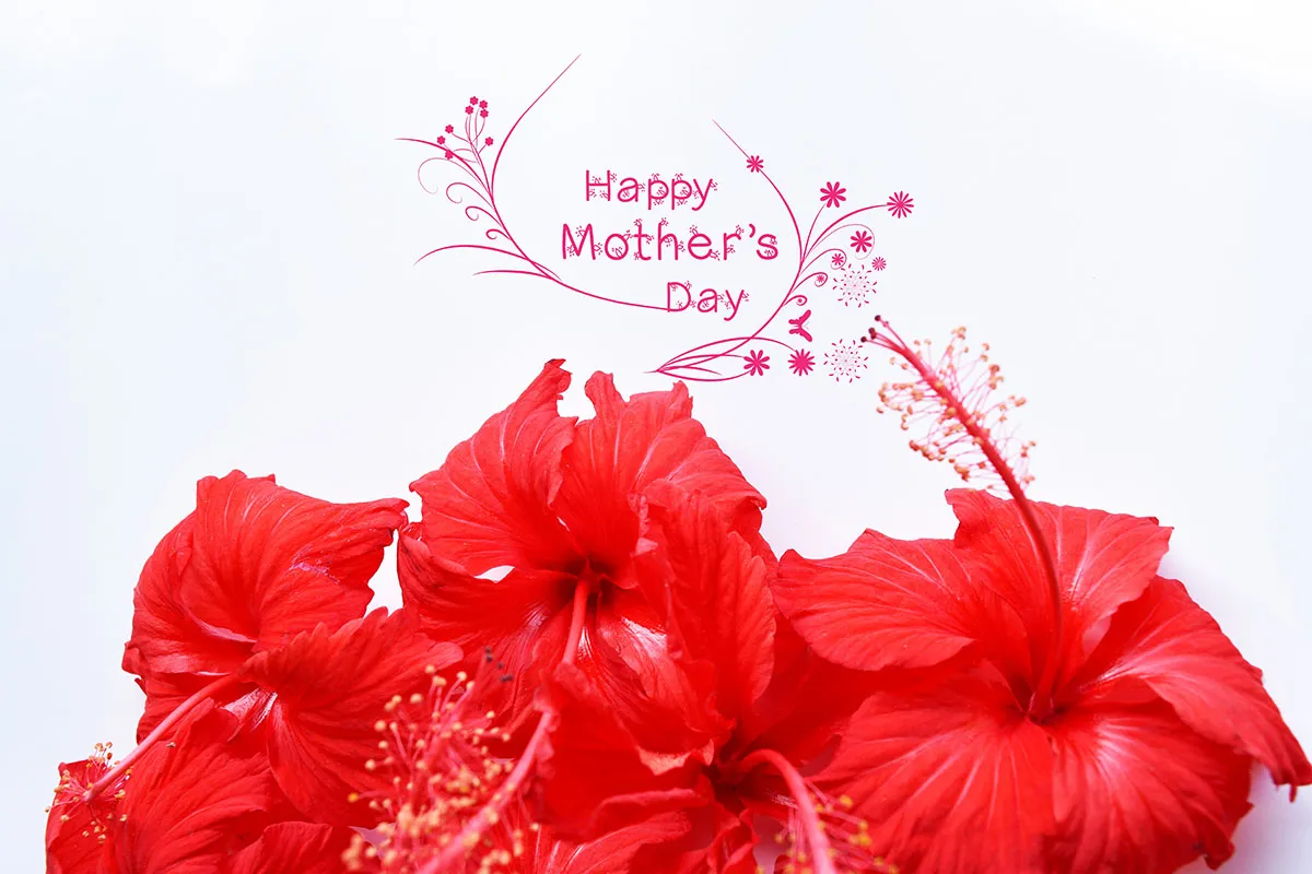 Flowers 391