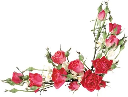 Flowers 159