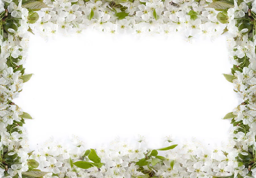 Flowers 547
