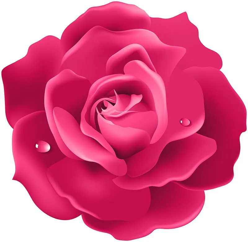 Flowers 438