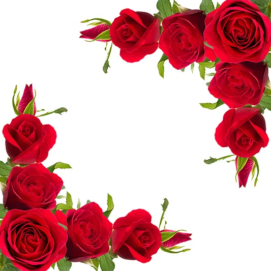 Flowers 373