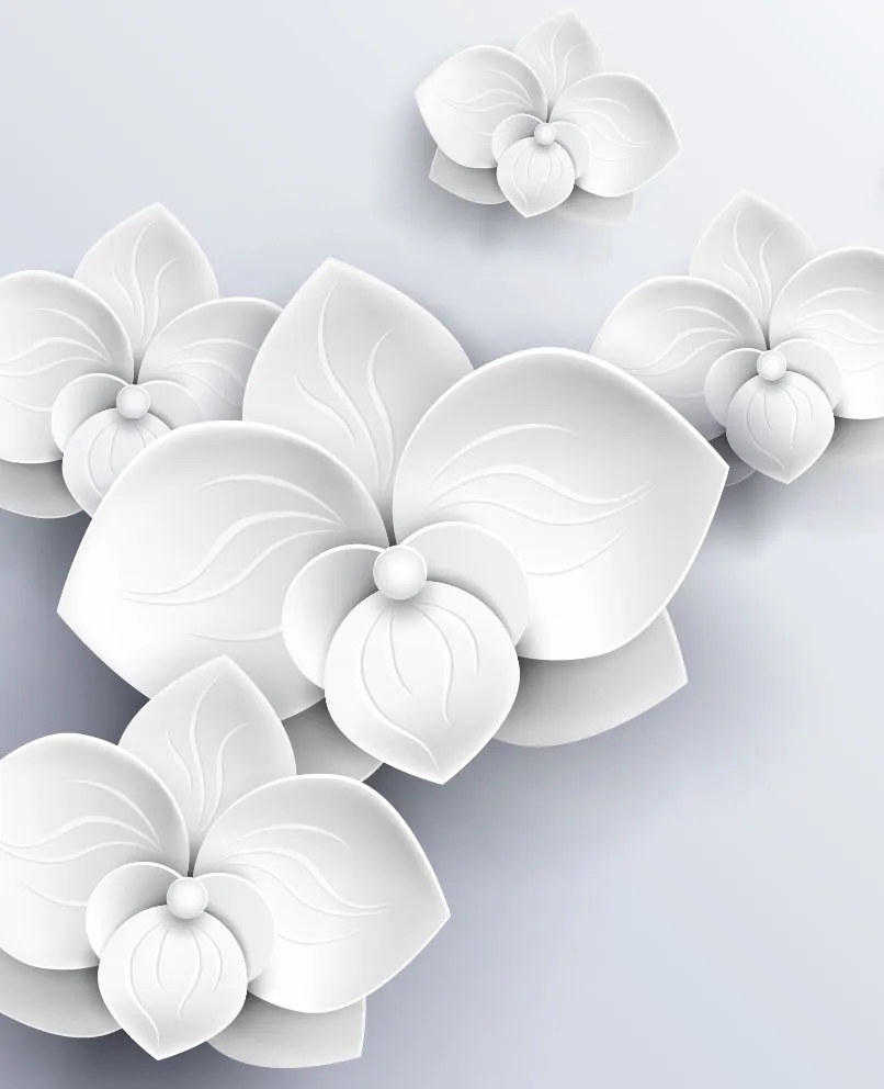 Flowers 508
