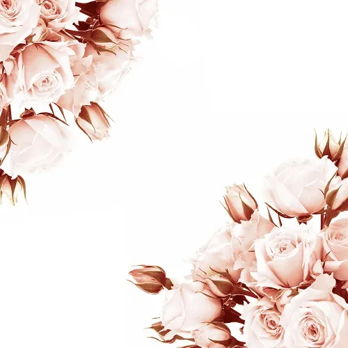 Flowers 147