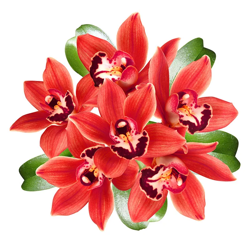 Flowers 401