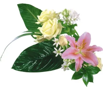 Flowers 163
