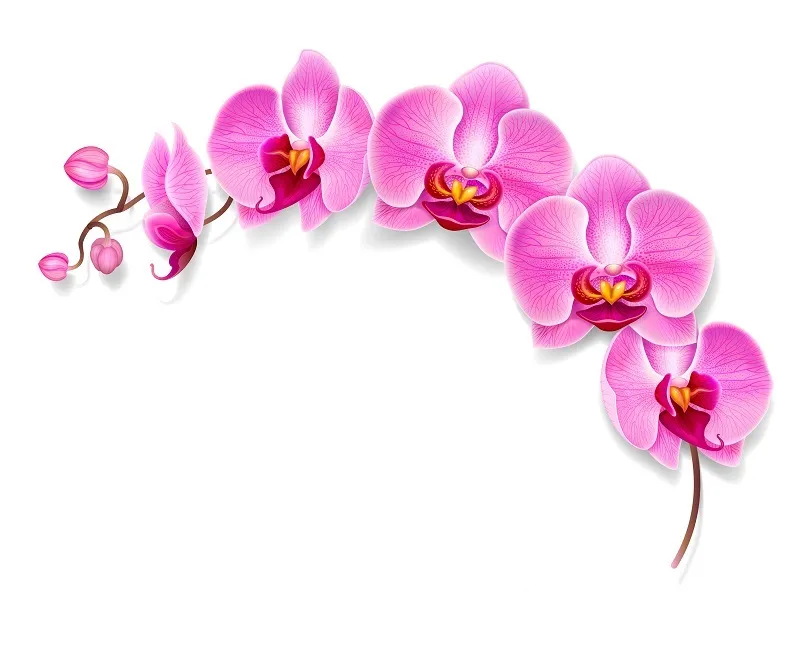 Flowers 064