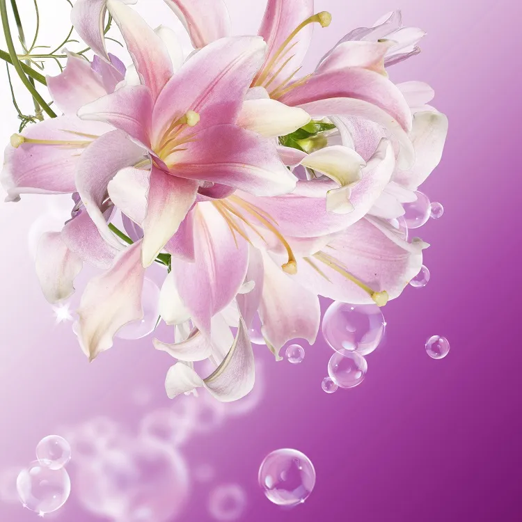 Flowers 146