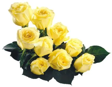 Flowers 154