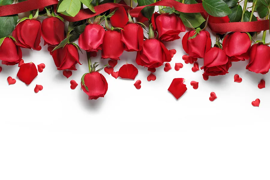 Flowers 560
