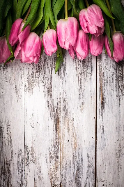 Flowers 142