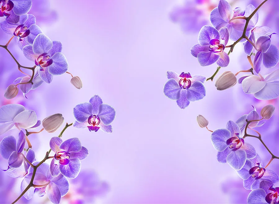 Flowers 048a