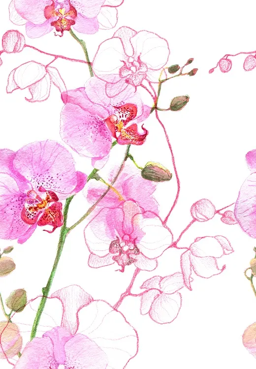 Flowers 042