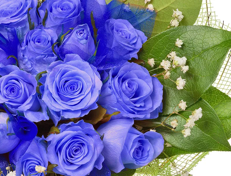 Flowers 412