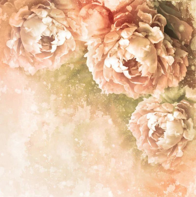 Flowers 008
