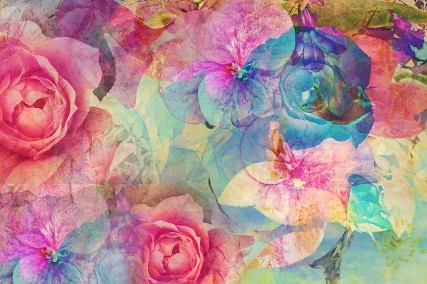 Flowers 116
