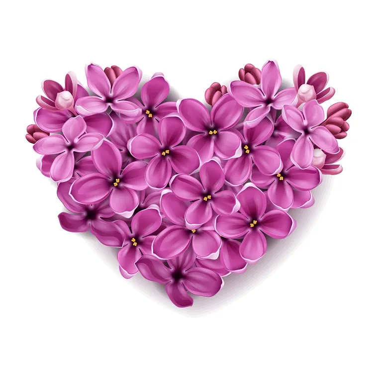 Flowers 244