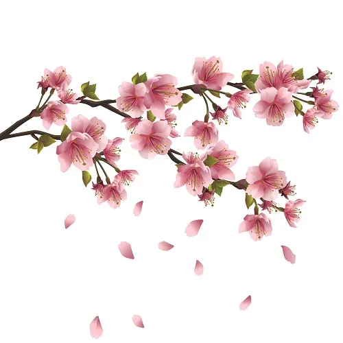 Flowers 228