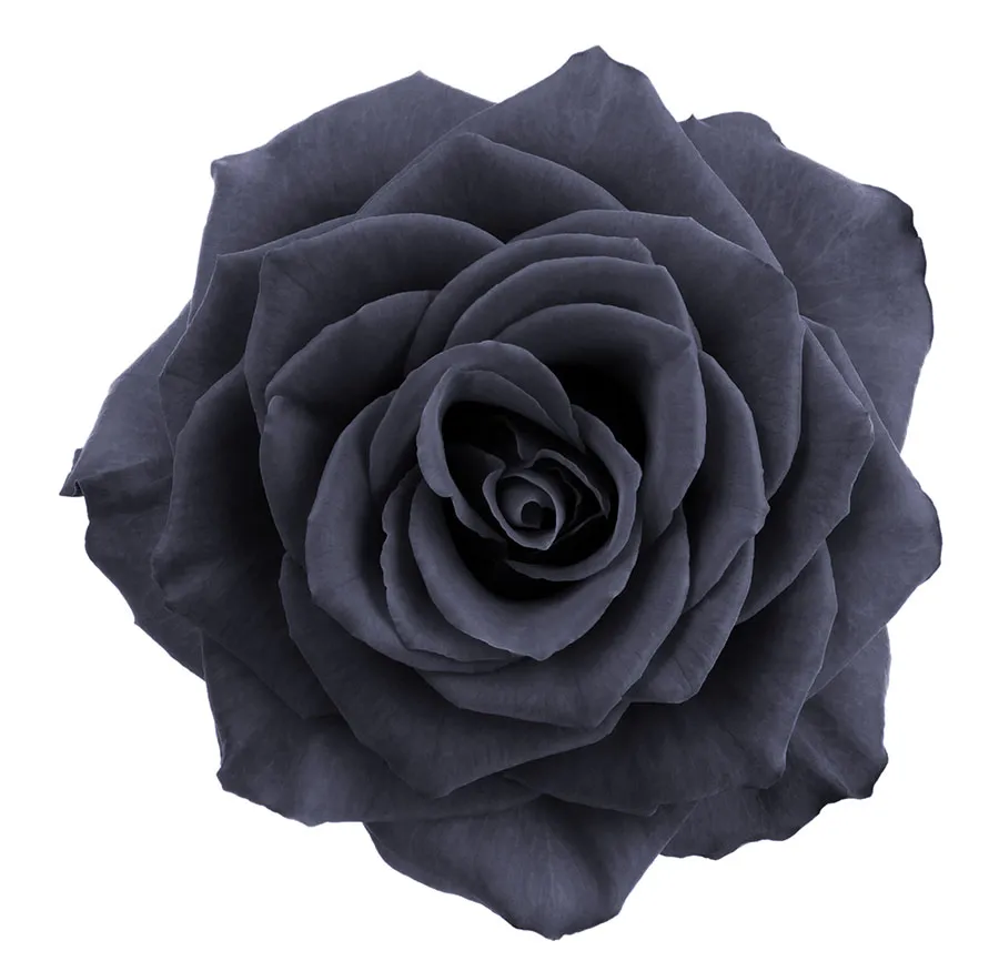 Flowers 010a