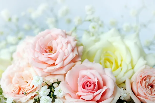 Flowers 322