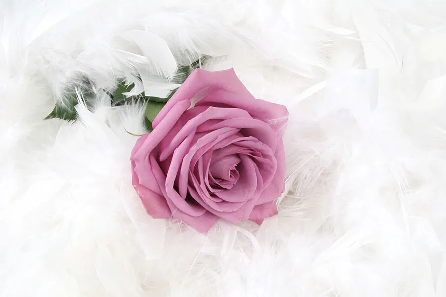 Flowers 502