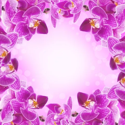 Flowers 066