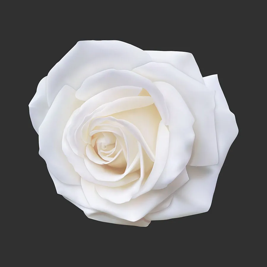 Flowers 557