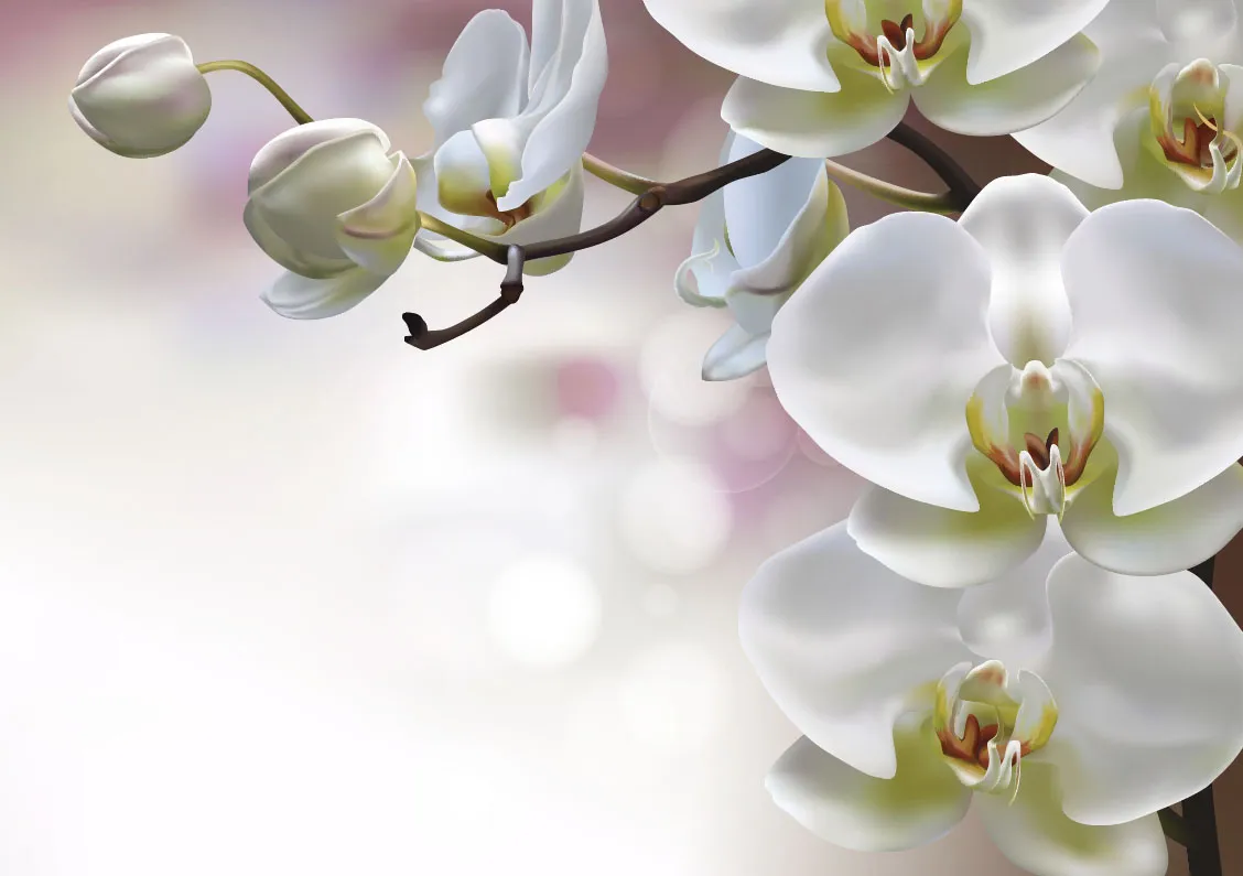 Flowers 536