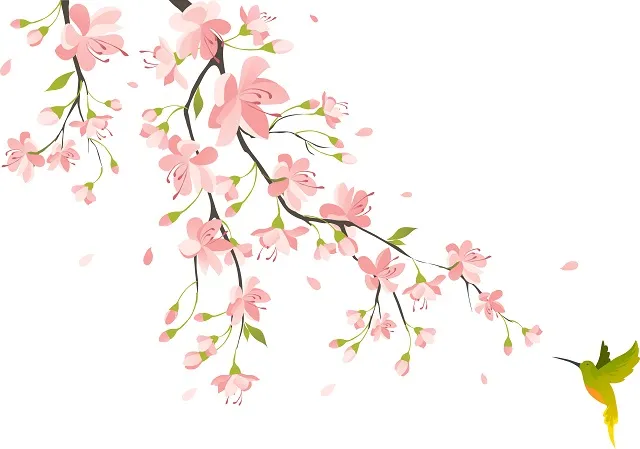 Flowers 257