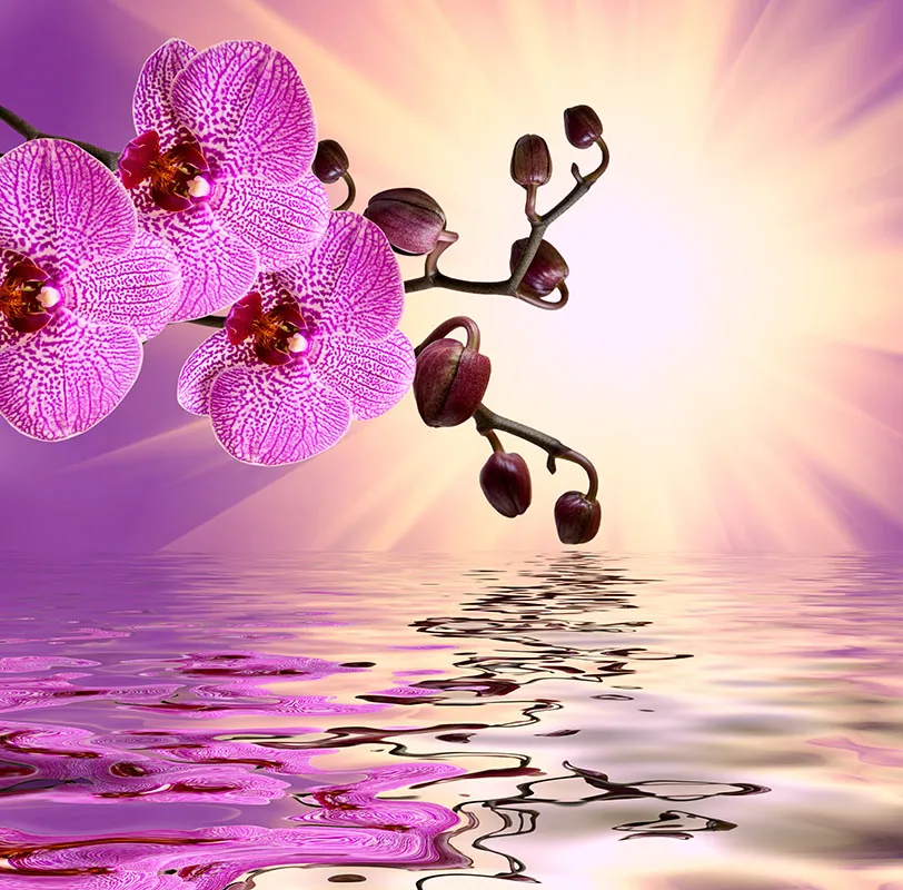 Flowers 361