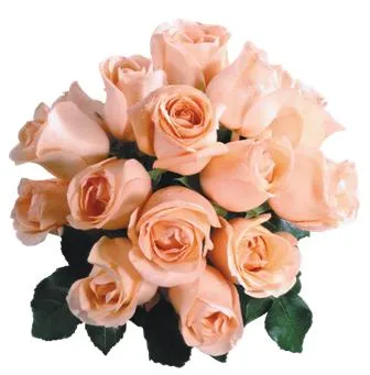 Flowers 086